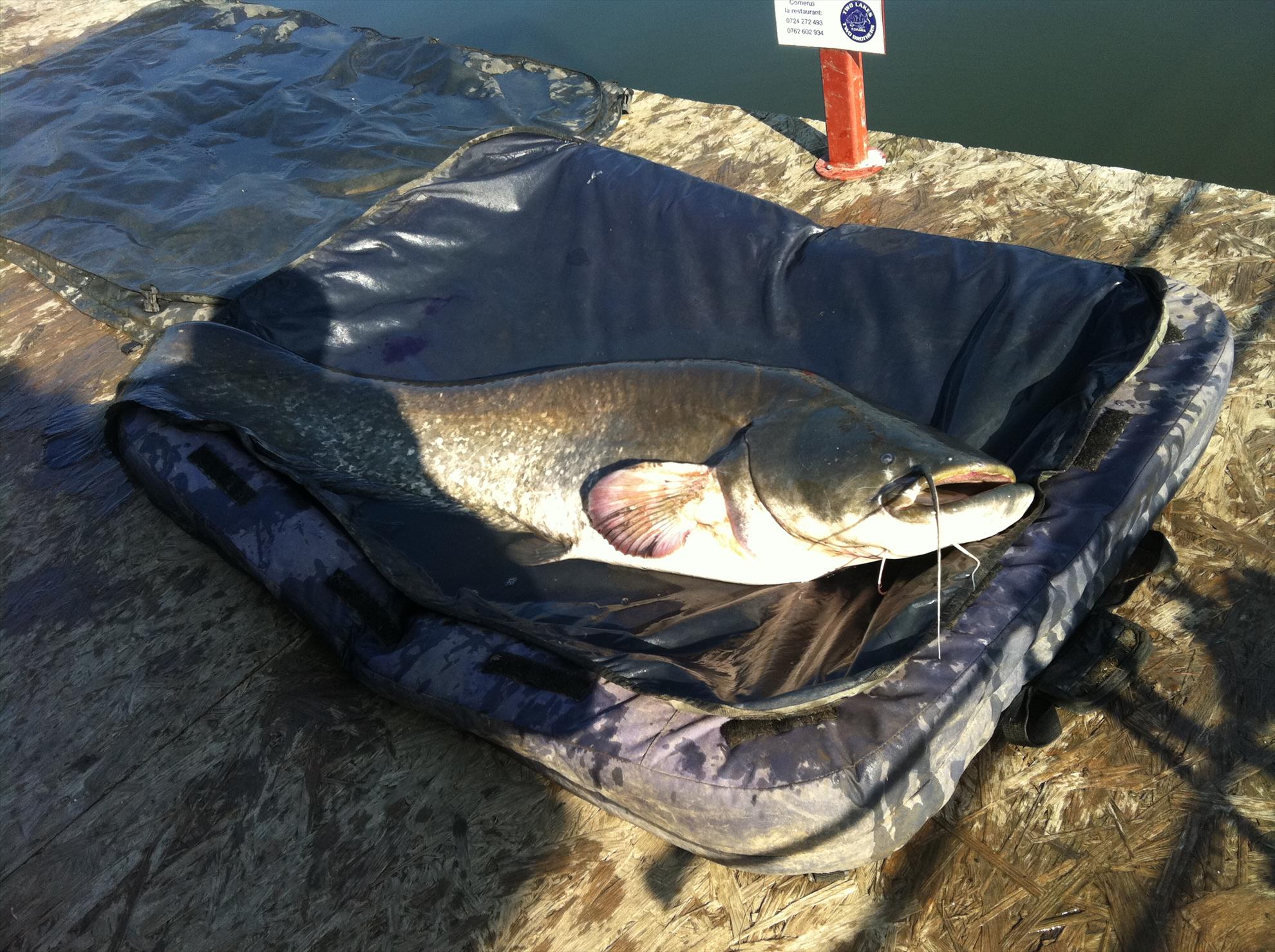 Bogdan - img1395.JPG